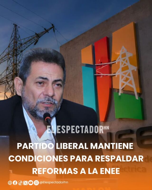 WhatsApp Image 2026-07-19 at 12.24 WhatsApp Image 2026-07-19 at 12.24