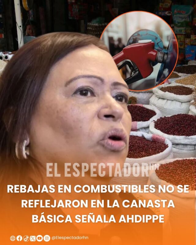 Rebajas en combustibles no se reflejaron en la canasta básica señala Ahdippe