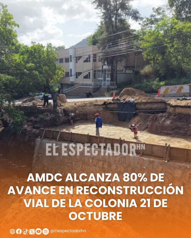 WhatsApp Image 2026-07-24 at 17.26