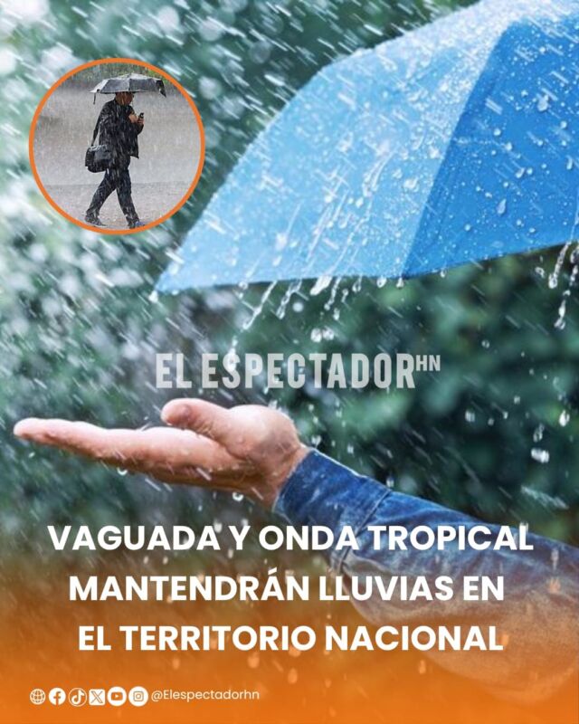 WhatsApp Image 2026-07-25 at 8.34 WhatsApp Image 2026-07-25 at 8.34