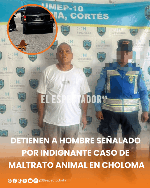 maltrato animal