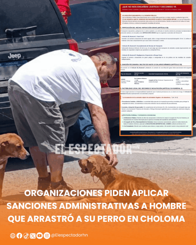 Organizaciones