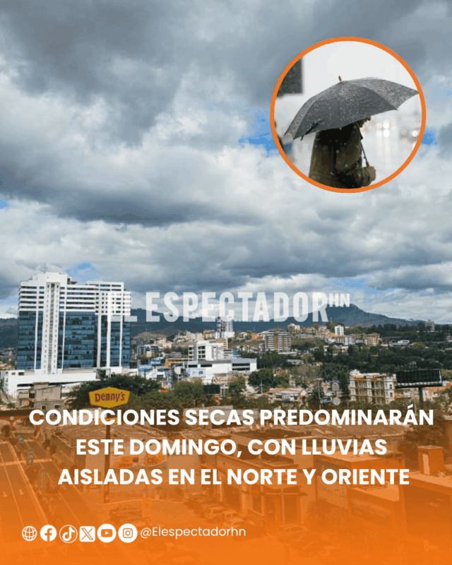 ARTES-ARI - 2026-08-16T085353 ARTES-ARI - 2026-08-16T085353