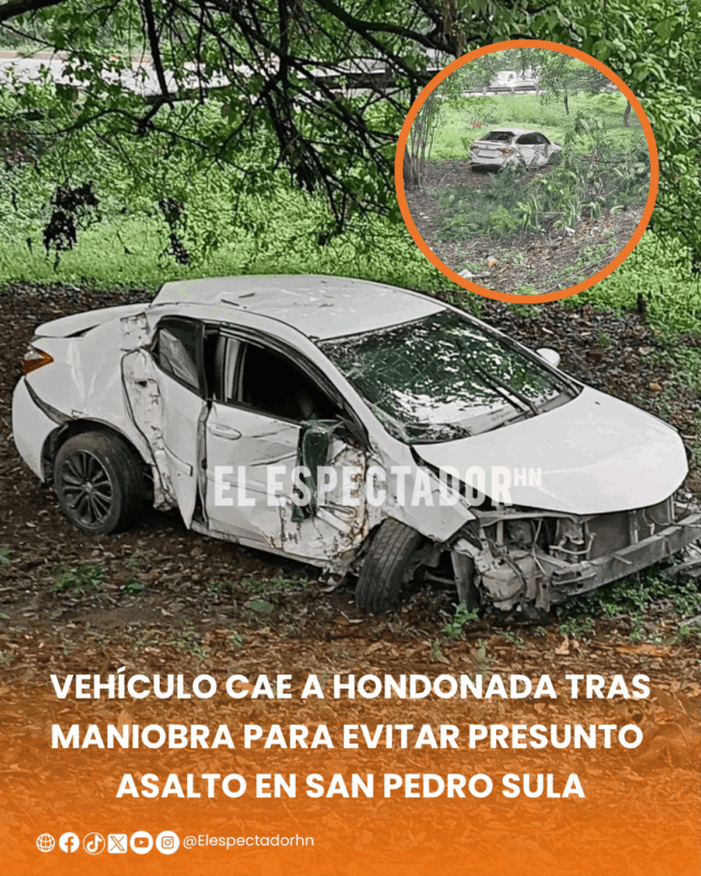 Vehículo