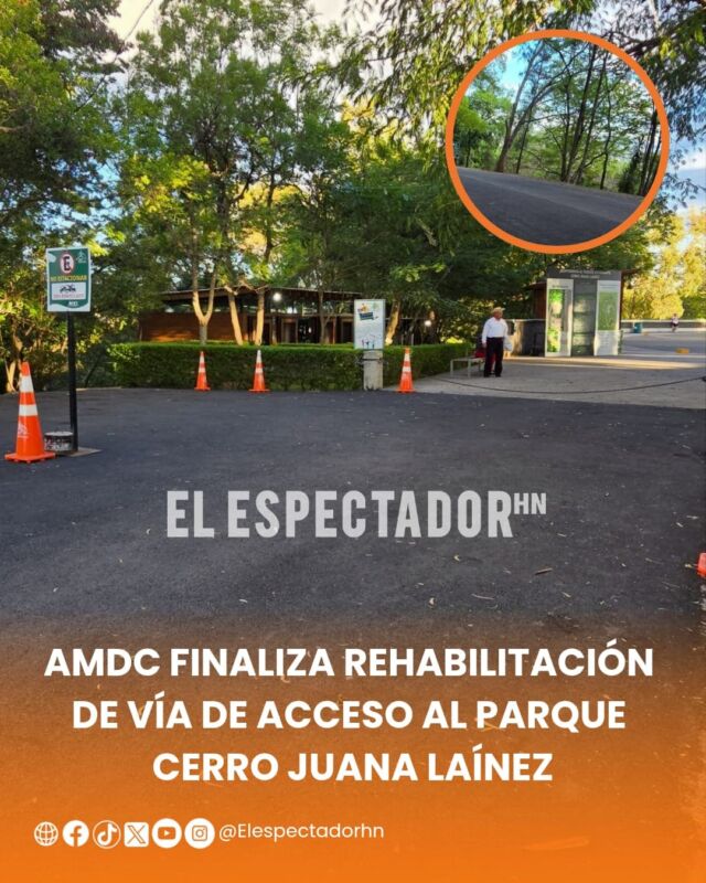 AMDC
