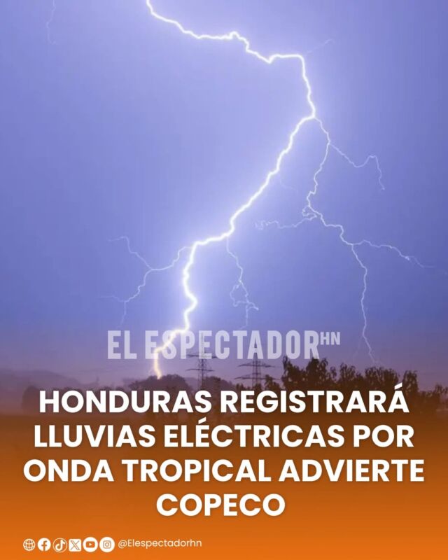 WhatsApp Image 2026-08-04 at 13.27 WhatsApp Image 2026-08-04 at 13.27