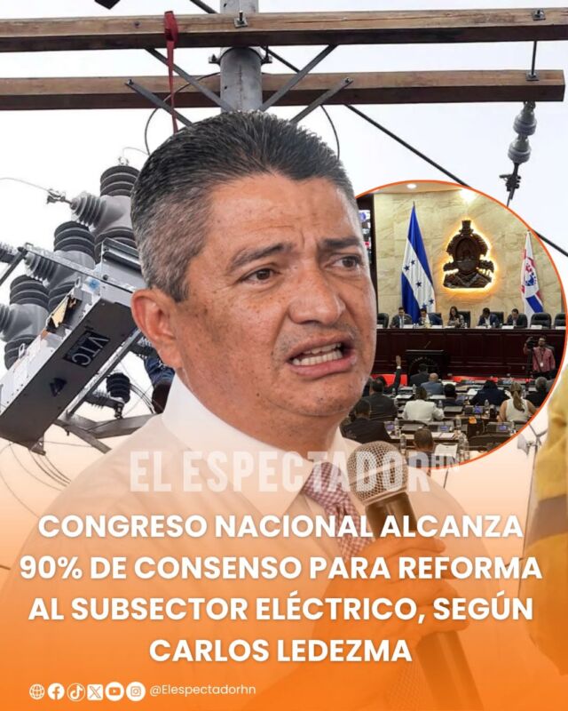 Congreso Nacional alcanza 90% de consenso para reforma al subsector eléctrico, según Carlos Ledezma