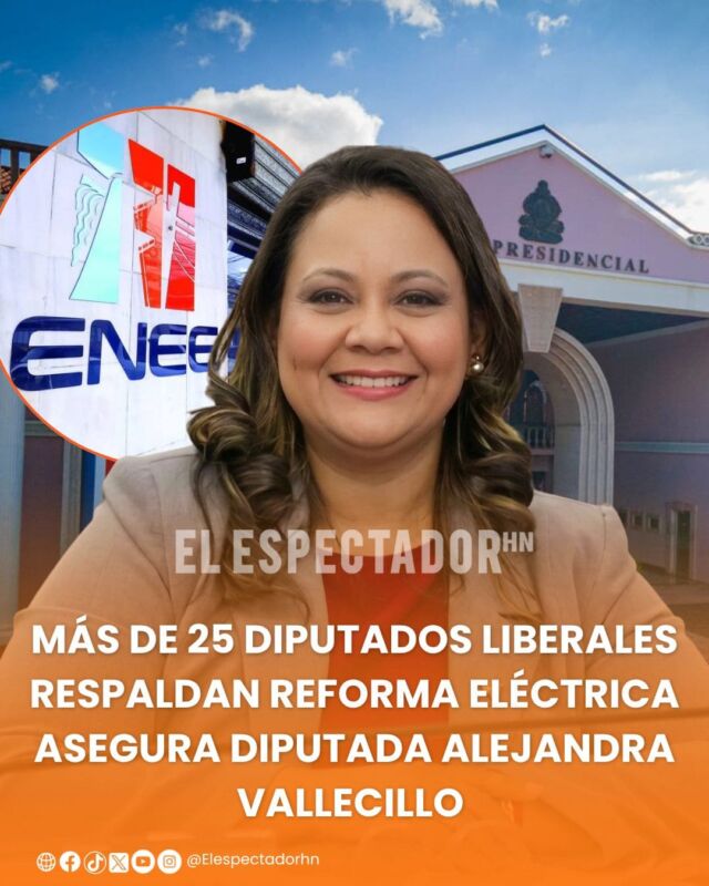 Más de 25 diputados liberales respaldan reforma eléctrica asegura diputada Alejandra Vallecillo