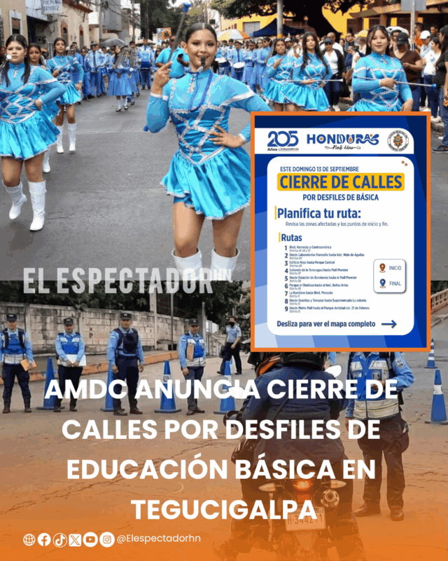 AMDC