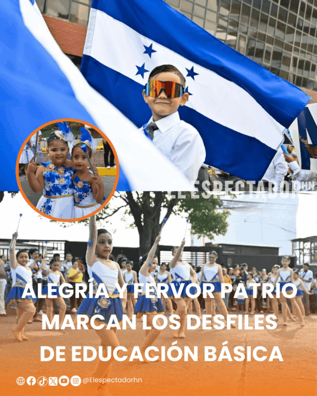 educación básica