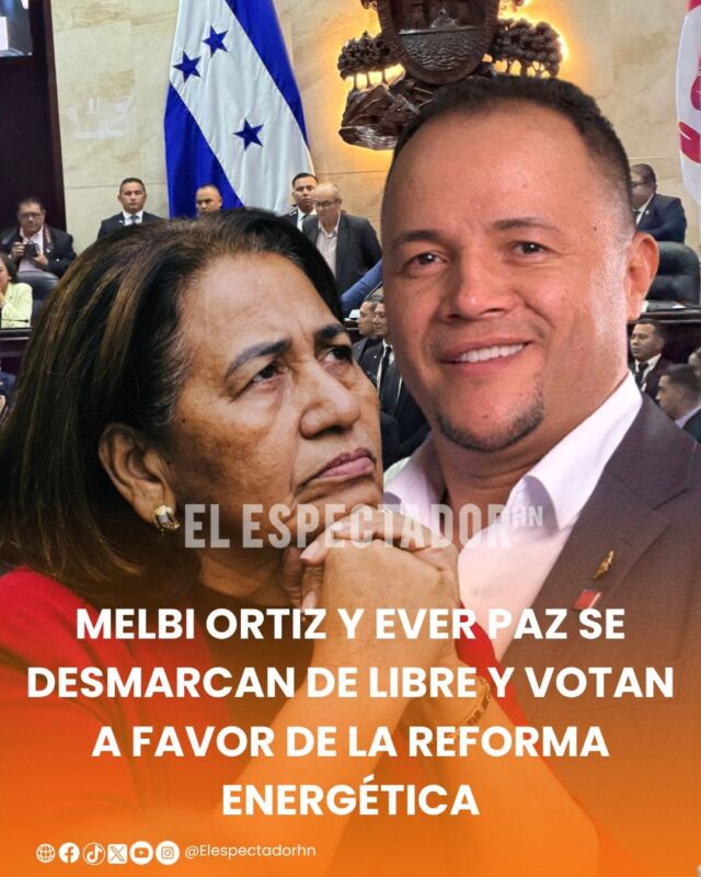 Melbi Ortiz y Ever Paz se desmarcan de libre y votan a favor de la reforma energética