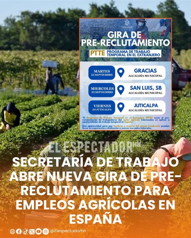 Secretaría de Trabajo abre nueva gira de pre-reclutamiento para empleos agrícolas en España