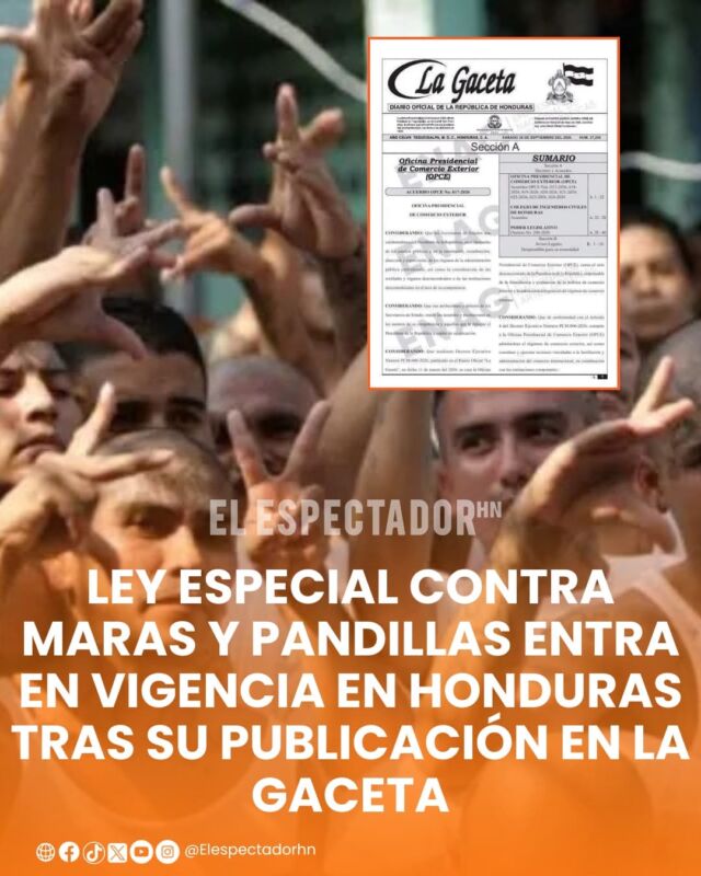  Ley Especial contra Maras y Pandillas entra en vigencia en Honduras tras su publicación en la Gaceta