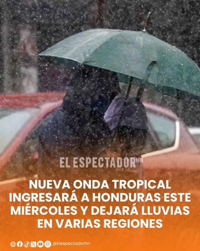 WhatsApp Image 2026-09-29 at 13.08