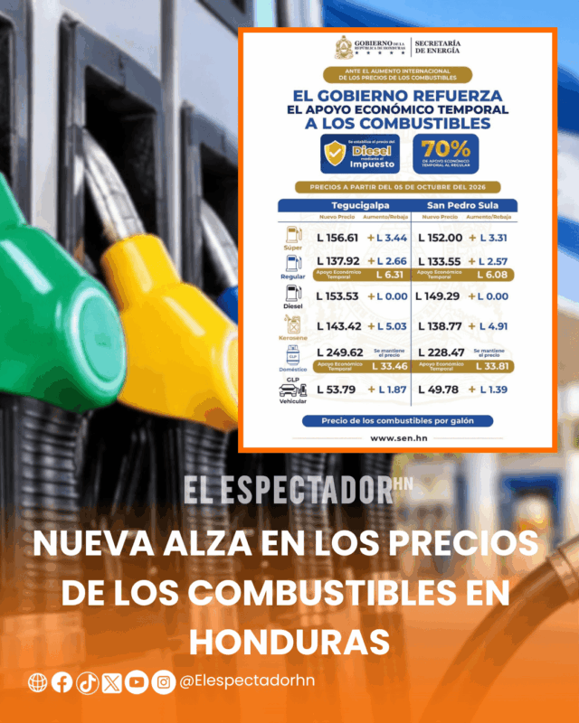 Combustibles