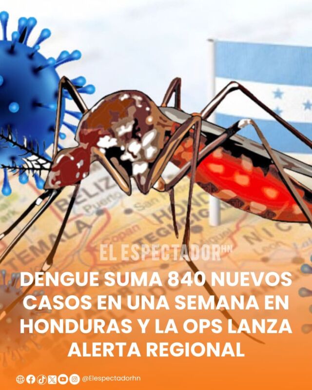Dengue suma 840 nuevos casos en una semana en Honduras y la OPS lanza alerta regional