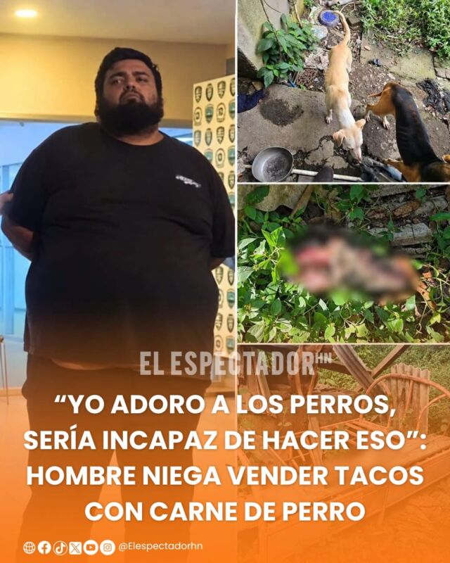 “Yo adoro a los perros, sería incapaz de hacer eso”: hombre niega vender tacos con carne de perro